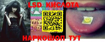 apvp Кимры